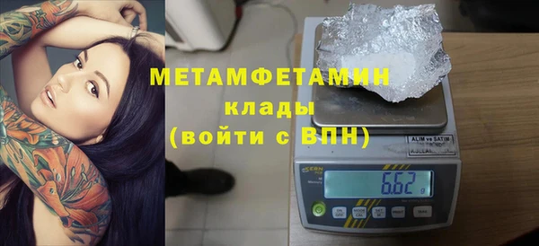 ПСИЛОЦИБИНОВЫЕ ГРИБЫ Осинники
