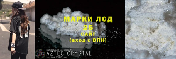 ПСИЛОЦИБИНОВЫЕ ГРИБЫ Осинники