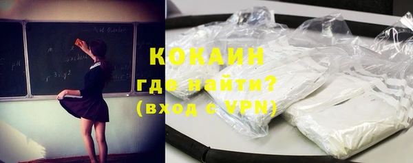 ПСИЛОЦИБИНОВЫЕ ГРИБЫ Осинники