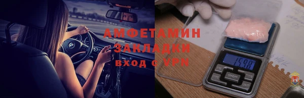 ПСИЛОЦИБИНОВЫЕ ГРИБЫ Осинники