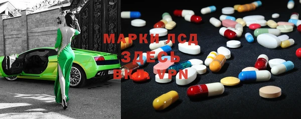 ПСИЛОЦИБИНОВЫЕ ГРИБЫ Осинники