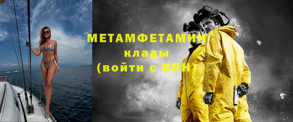 ПСИЛОЦИБИНОВЫЕ ГРИБЫ Осинники
