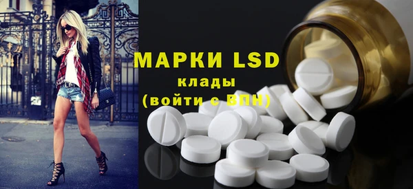 ПСИЛОЦИБИНОВЫЕ ГРИБЫ Осинники