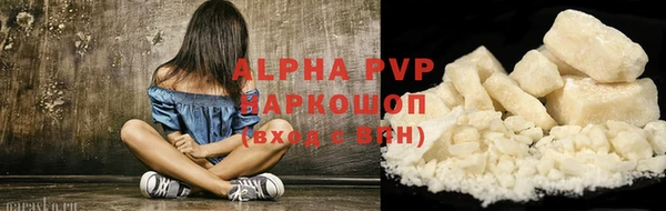 ПСИЛОЦИБИНОВЫЕ ГРИБЫ Осинники