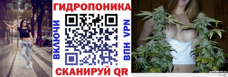 Конопля OG Kush  Чёрмоз 